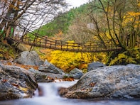 秋に行きたい「徳島県の穴場秘境」ランキング！ 2位「奥祖谷二重かずら橋」、1位は？ 【2025年度調査】