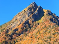 秋に行きたい「愛媛県の穴場秘境」ランキング！ 2位「石鎚山御来光林道」、1位は？ 【2025年度調査】