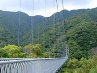 秋に行きたい「宮崎県の穴場秘境」ランキング！ 2位「綾の照葉大吊橋」を抑えた1位は？ 【2025年調査】