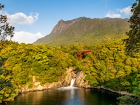 秋に行きたい「鹿児島県の穴場秘境」ランキング！ 2位「モッチョム岳トロッコ道（屋久島）」を抑えた1位は？