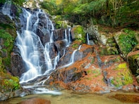秋に行きたいと思う「福岡県の絶景スポット」ランキング！ 2位「白糸の滝」、1位は？ 【2025年調査】