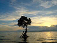 秋に行きたいと思う「沖縄県の絶景スポット」ランキング！ 2位「石垣島」、1位は？ 【2025年調査】