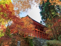 好き＆行ってみたい「滋賀県の紅葉スポット」ランキング！ 2位「比叡山延暦寺」を抑えた1位は？【2025年調査】
