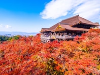 好き＆行ってみたい「京都府の紅葉スポット」ランキング！ 2位「清水寺」を抑えた1位は？【2025年調査】