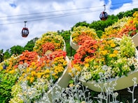 好き＆行ってみたい「兵庫県の紅葉スポット」ランキング！ 2位「神戸布引ハーブ園／ロープウェイ」を抑えた1位は？【2025年調査】