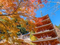好き＆行ってみたい「奈良県の紅葉スポット」ランキング！ 2位「長谷寺」を抑えた1位は？【2025年調査】