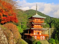 好き＆行ってみたい「和歌山県の紅葉スポット」ランキング！ 2位「熊野那智大社」を抑えた1位は？【2025年調査】