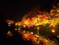 好き＆行ってみたい「三重県の紅葉スポット」ランキング！ 2位「なばなの里」を抑えた1位は？【2025年調査】