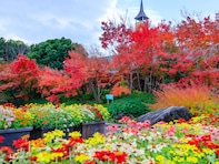 秋に行きたいと思う「三重県の絶景スポット」ランキング！ 2位「なばなの里」を抑えた1位は？ 【2025年調査】