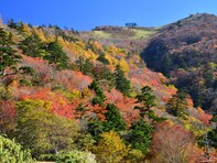好き＆行ってみたい「徳島県の紅葉スポット」ランキング！ 2位「剣山」を抑えた1位は？【2025年調査】