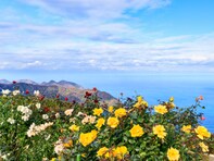 秋に行きたいと思う「福井県の絶景スポット」ランキング！ 2位「レインボーライン山頂公園」、1位は？