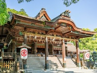 好き＆行ってみたい「長崎県の紅葉スポット」ランキング！ 2位「金刀比羅神社」を抑えた1位は？【2025年調査】