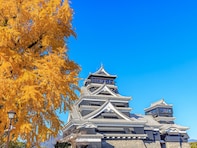 好き＆行ってみたい「熊本県の紅葉スポット」ランキング！ 2位「熊本城」を抑えた1位は？【2025年調査】