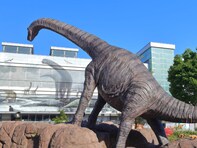 福井県の市で「治安がいい」と思う市ランキング！ 2位「勝山市」を抑えた1位は？【2025年調査】