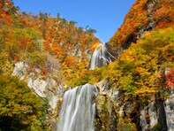 秋田県で「秋に行きたい滝」ランキング！ 2位「安の滝」を抑えた1位は？【2025年調査】