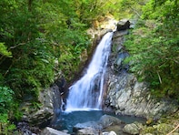 沖縄県で「秋に行きたい滝」ランキング！ 2位「比地大滝」を抑えた1位は？【2025年調査】