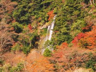 熊本県で「秋に行きたい滝」ランキング！ 2位「梅樟轟の滝」を抑えた1位は？【2025年調査】