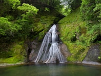 和歌山県で「秋に行きたい滝」ランキング！ 2位「請川のお滝さん」を抑えた1位は？【2025年調査】