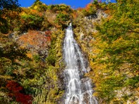 兵庫県で「秋に行きたい滝」ランキング！ 2位「天滝」を抑えた1位は？【2025年調査】