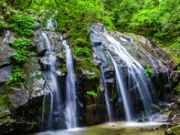 京都府で「秋に行きたい滝」ランキング！ 2位「金引の滝」を抑えた1位は？【2025年調査】