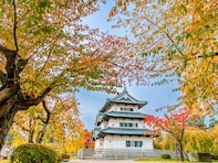 青森県で「ふるさと納税の返礼品が魅力的」と思う市ランキング！ 2位「弘前市」を抑えた1位は？【2025年調査】