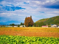 山形県で「ふるさと納税の返礼品が魅力的」と思う市ランキング！ 2位「米沢市」を抑えた1位は？【2025年調査】