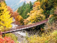 東京都の市（23区以外）で「ふるさと納税の返礼品が魅力的」だと思うランキング！ 2位「あきる野市」、1位は？