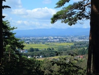 岩手県の市で「お金持ちが多そう」と思う市ランキング！ 2位「花巻市」を抑えた1位は？ 【2025年調査】