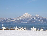 好き＆飲んでみたい「福島県のクラフトビール」ランキング！ 2位「猪苗代ビール」、1位は？ 【2025年調査】