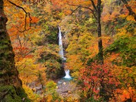 秋に行きたい「鳥取県の滝」ランキング！ 2位「大山滝」を抑えた1位は？【2025年調査】