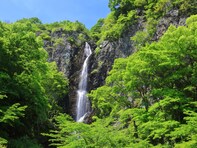 秋に行きたい「香川県の滝」ランキング！ 2位「不動の滝」を抑えた1位は？【2025年調査】