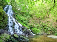 秋に行きたい「山口県の滝」ランキング！ 2位「秋芳白糸の滝」を抑えた1位は？【2025年調査】