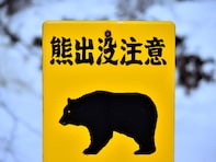 研究者が懸念する、クマよけの鈴の"逆効果化"。その兆候が2025年の「住宅・倉庫侵入」で見え始めた