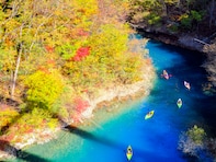 好き＆ビールを飲んでみたい「群馬県のクラフトビールブルワリー」ランキング！ 2位「四万温泉エール」、1位は？ 【2025年調査】