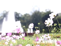 好き＆ビールを飲んでみたい「茨城県のクラフトビールブルワリー」ランキング！ 2位「木内酒造 手作りビール工房」、1位は？ 【2025年調査】