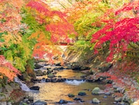 老後に行きたいと思う「静岡県（伊豆・熱海・東伊豆エリア）の温泉地」ランキング！ 2位「修善寺温泉」を抑えた1位は？ 【2025年調査】