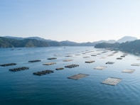 宮城県の市で「移住したい」と思う市ランキング！ 2位「気仙沼市」を抑えた1位は？【2025年調査】