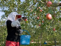 「方言がユニーク・おもしろいと思う都道府県」ランキング！ 2位「青森県」を抑えた1位は？ 【2025年調査】