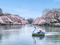 東京都の市（23区以外）で「移住したい」と思う市ランキング！ 2位「武蔵野市」を抑えた1位は？【2025年調査】