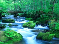 子連れで行きたいと思う「青森県の道の駅」ランキング！ 2位「奥入瀬」を抑えた1位は？ 【2025年調査】