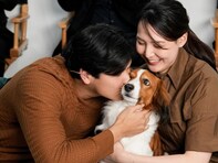 大谷翔平、満票でMVP獲得！ 真美子さん＆デコピンと“おそろいコーデ”で登場「娘さんはさすがに出さないよね」