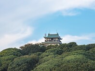 愛知県の「憧れのナンバープレート」ランキング！ 2位「尾張小牧」を抑えた1位は？【2025年調査】