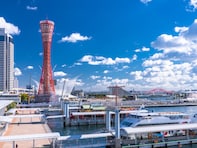 近畿地方の「憧れのナンバープレート」ランキング！ 2位「神戸（兵庫県）」、1位は？ 【2025年調査】