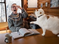 無慈悲なパンチに父のメガネは傾き、額からは血が…傍若無人な猫「メイ」とお父さんのハードな日常