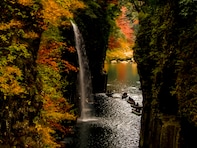 好き&行ってみたい「宮崎県の商店街・市場」ランキング！ 2位「高千穂がまだせ市場」、1位は？ 【2025年調査】