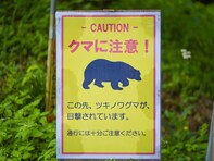 なぜクマの人身事故は急増したのか。自然写真家が語る「冬もクマが出る」異常事態の悲しい原因