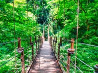 子連れで行きたいと思う「岡山県の道の駅」ランキング！ 2位「みやま公園（玉野市）」を抑えた1位は？【2025年調査】