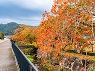 子連れで行きたいと思う「福岡県の道の駅」ランキング！ 2位「くるめ」を抑えた1位は？ 【2025年調査】