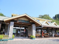 特産品が楽しめると思う「宮崎県の道の駅」ランキング！ 2位「高千穂」を抑えた1位は？ 【2025年調査】
