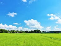 出身と聞いてすごいと思う「北陸地方の私立進学校」ランキング！ 2位「新潟明訓高等学校」、1位は？ 【2025年調査】